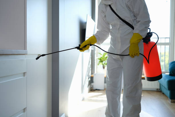 Best Mold Remediation for Specific Building Types in Woodworth, OH